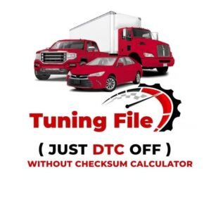 ECU DTC Off Removal File Service Online