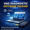 ODIS VW Audi Diagnostic Software Package Installation Service Online