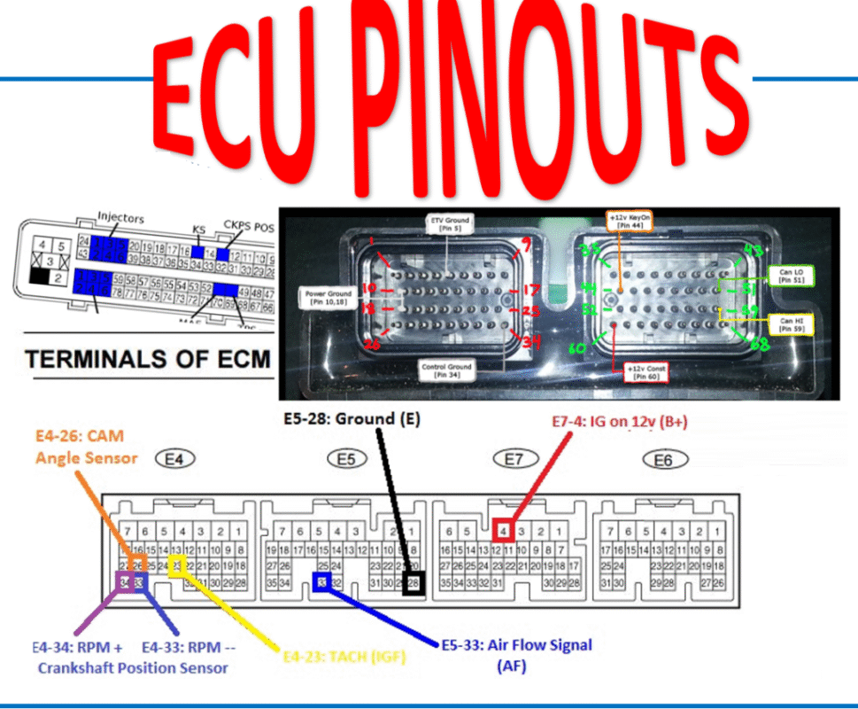 Toyota Lexus Denso ECU Pinout Free for All - JDTCL